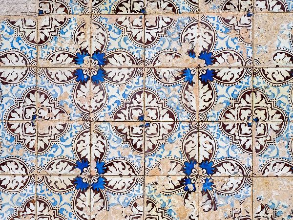 Eggers, Julie 아티스트의 Portugal-Costa Nova-Colorful azulejo tiles on the exterior wall of house작품입니다.